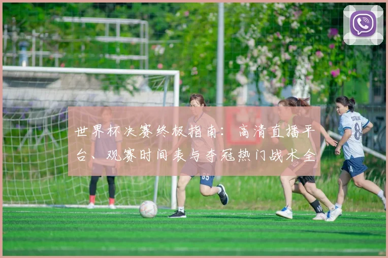 世界杯决赛终极指南：高清直播平台、观赛时间表与夺冠热门战术全解析