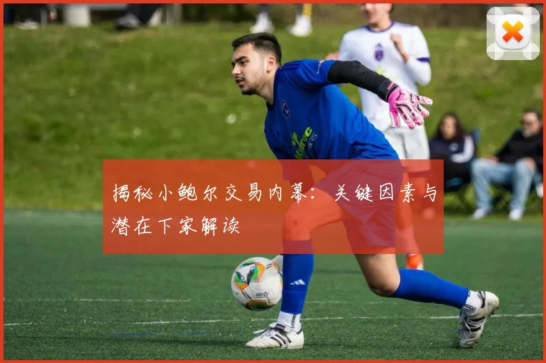 揭秘小鲍尔交易内幕:关键因素与潜在下家解读
